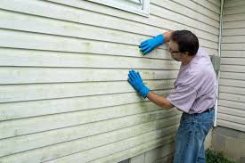 Best Historical Building Siding Restoration  in Lynwood, CA